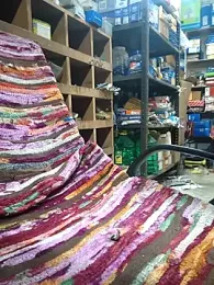 Srmotrs webcam model stream image