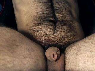 lapijarg webcam model stream image