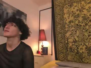 aria_and_orien webcam model stream image