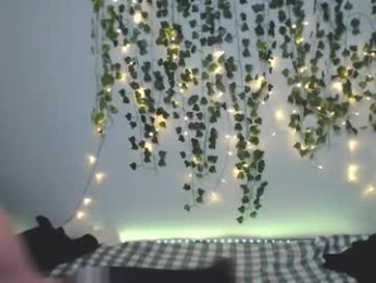 kaislutx webcam model stream image