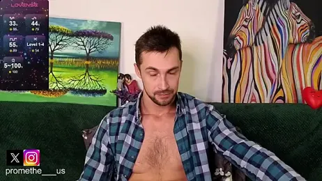 Promethe_us webcam model stream image