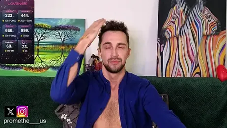 Promethe_us webcam model stream image