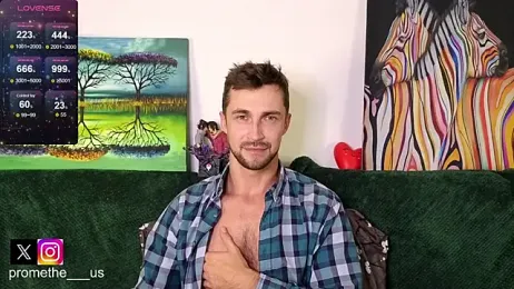 Promethe_us webcam model stream image