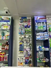 roouse webcam model stream image