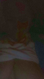 Cassandra64 webcam model stream image