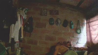 carlos9180 webcam model stream image