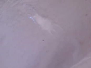 waltsobchak webcam chaturbate model stream image