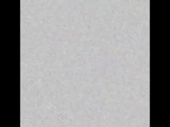 nyconik webcam model stream image