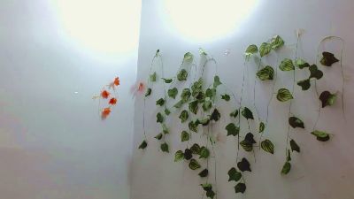 SabrinaOlson webcam model stream image