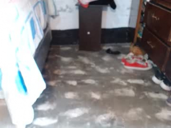 dream_real webcam model stream image