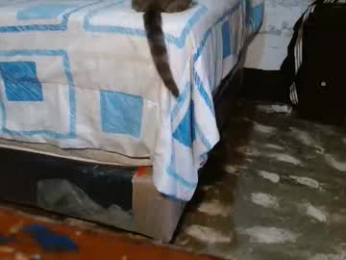 dream_real webcam model stream image