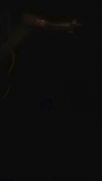 Evamm84 webcam model stream image