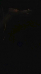 Evamm84 webcam model stream image