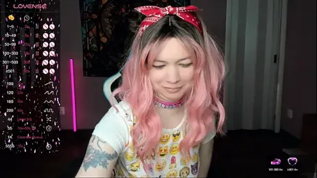 Project_hisoka webcam model stream image