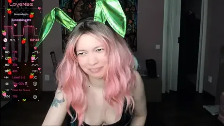 Project_hisoka webcam model stream image