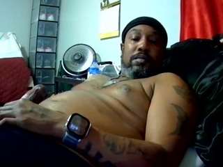 lngdic4cat webcam model stream image