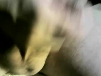 felicaste webcam model stream image