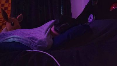 TheDevilPup75 webcam model stream image