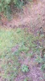 mischell7 webcam model stream image