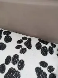 VeraVS webcam model stream image