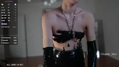 LAUREL_HAZEL webcam model stream image