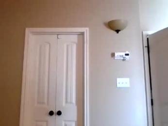 dicksmoothie webcam chaturbate model stream image