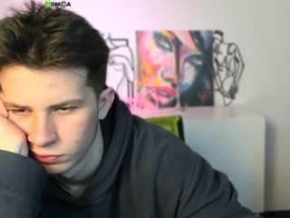 veldi-to webcam model stream image