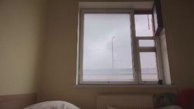 FlyMonster webcam model stream image