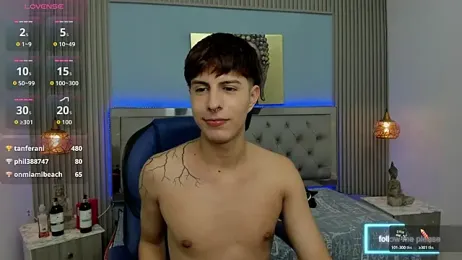 Estiv18_ webcam model stream image