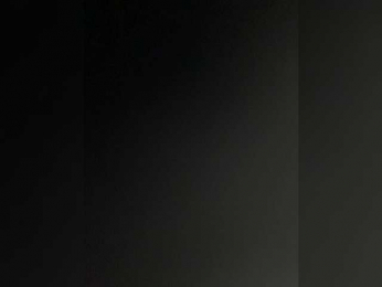 PARAmeow webcam model stream image