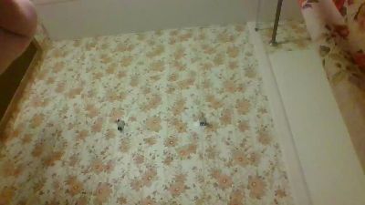 Fireball_one webcam model stream image