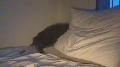 Rafael10010 webcam model stream image