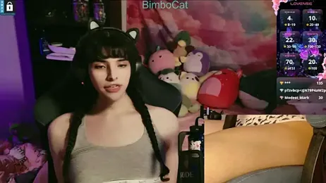 BimboCat webcam model stream image