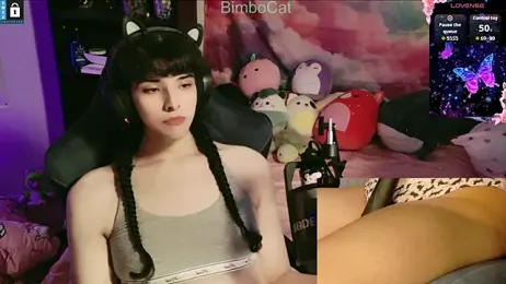 BimboCat webcam model stream image