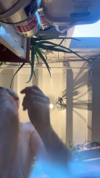 Rivegauchefm webcam model stream image