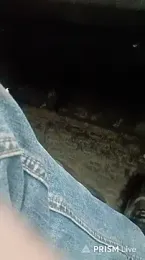 _Pipi_ webcam model stream image