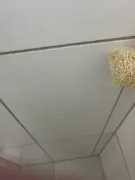 MateusBH123 webcam model stream image