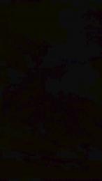 Parejaluchi webcam model stream image