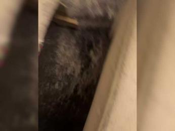 SquirtCam69 webcam model stream image