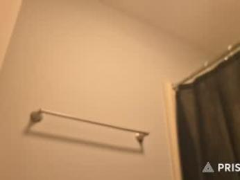 hardselfone webcam model stream image