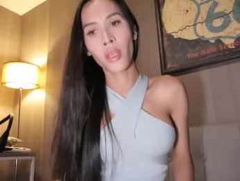 bee_thai webcam model stream image