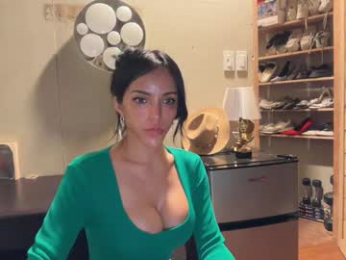 galileii webcam model stream image