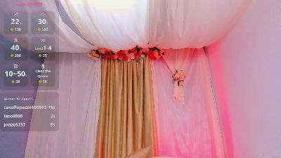 salome_star1 webcam cam4 model stream image