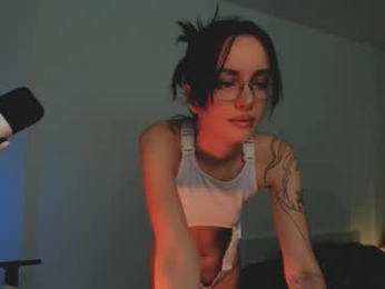 2b_ webcam model stream image