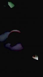 ForeignRecipe webcam model stream image