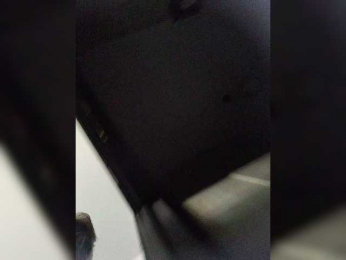 Snovidica webcam model stream image