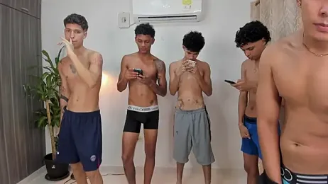 domi_master webcam model stream image