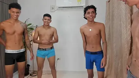 domi_master webcam model stream image