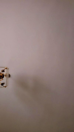 18Pomposita webcam model stream image