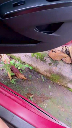 Tania__honey webcam model stream image